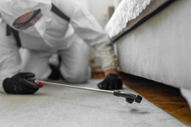 Professional Bed Bug Control technician working in Cass County County, MI